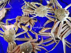 大堂-蟹道乐(道顿堀本店)