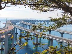 -星海湾跨海大桥