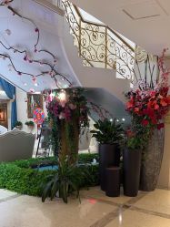 -伽美医疗美容医院·高端抗衰中心