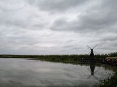-宁波杭州湾国家湿地公园