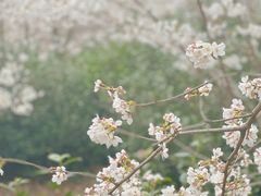 -光福景区