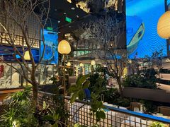 -桂满陇·海市蜃楼·黑金(国金店)