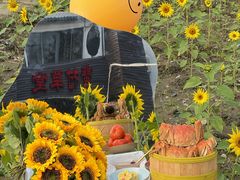 -蟹村草堂·苏式园林人文农家·大闸蟹