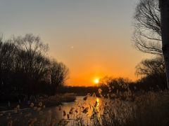 -大兴滨河森林公园