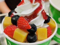 -Salud撒露欧洲冻酸奶(蓝色港湾店)