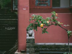 -长春观