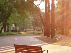 -人民公园(罗湖区)