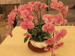 -华侨国际大酒店·中餐厅