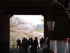 -醍醐寺