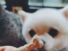 -the rug 飞毯 (朝阳公园店)