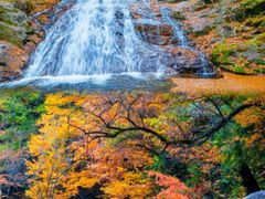 -光雾山旅游景区