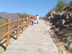-白水寺森林公园