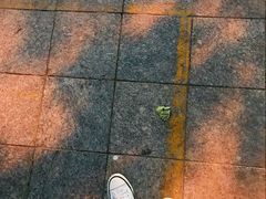 -百事晟渔村木火铁锅炖(玉带湾店)