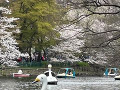 -井之头恩赐公园