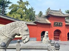-洛阳白马寺
