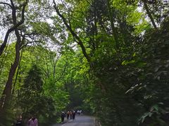 -岳麓山风景名胜区