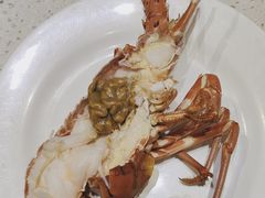 -青蓬蒸汽海鲜·深圳老字号·团建聚会(壹方城店)