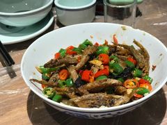 -壹盏灯(惠农店)