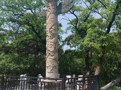 -北陵公园