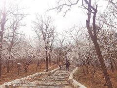 -阳台山自然风景区