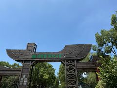 -溱湖国家湿地公园