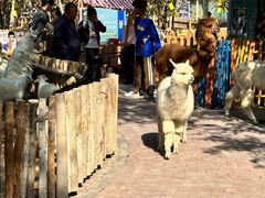 -水上乐园·欢乐世界