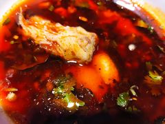 -蜀滋香鲜鱼火锅(黄金路店)