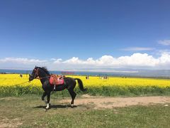 -青海湖国家重点风景名胜区