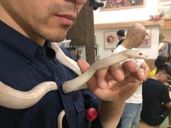 -藦茜花园宠物主题亲子互动体验馆(国顺东路店)