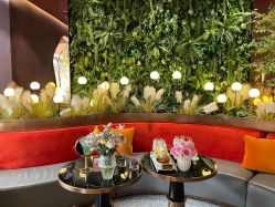 -花隐·美芙炫海菲秀皮肤管理中心