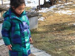 -合肥滨湖国家森林公园