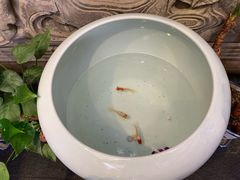 -万柳阁小馆·花园餐厅(龙潭湖店)