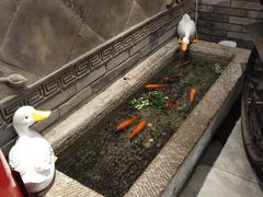 -京味斋·北京烤鸭(北京南站洋桥店)