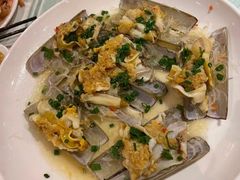-Apollo·西班牙小酒馆(安福路店)