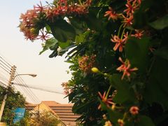 -宁曼路
