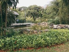 -四海公园(南山区)