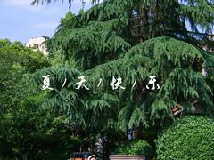 -大关公园