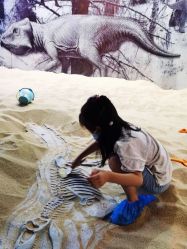 -恐龙探索乐园(磁器口店)