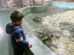 景点-嘉兴海底世界