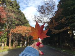 -北海道神宫