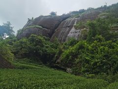 -武夷山风景名胜区-虎啸岩