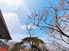 -妙峰山风景名胜区
