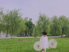 -蒲河岛湿地公园