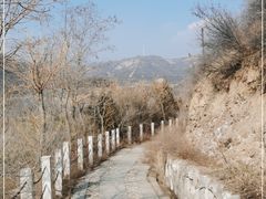 -五龙城郊森林公园