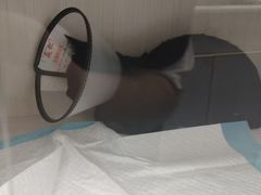 -博特宠物医院24h犬猫全科.骨科·异宠