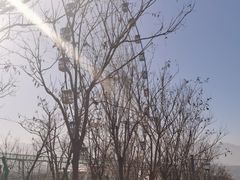 -白鹿原影视城