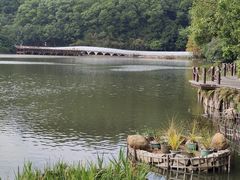 -深圳仙湖植物园
