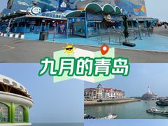 -海合安青岛极地海洋公园