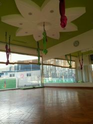 点击看大图 -一花一叶瑜伽生活馆