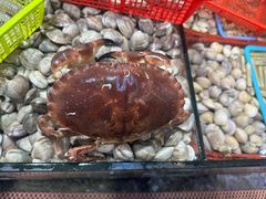 -船奇蒸汽海鲜·闽菜(八市海鲜总店)